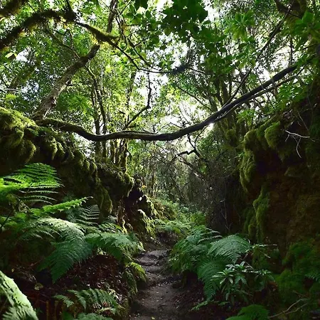 펜션 Rosas De Clara