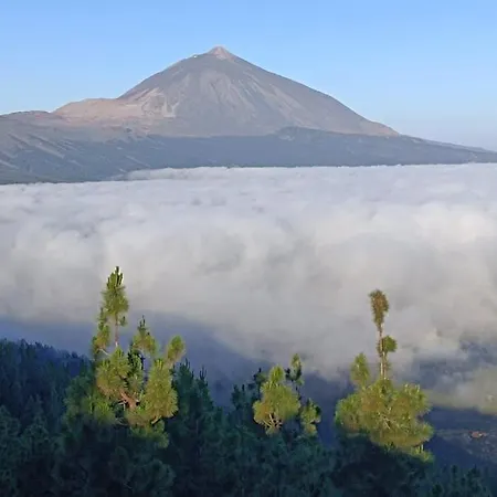 Rosas De Clara * Tegueste