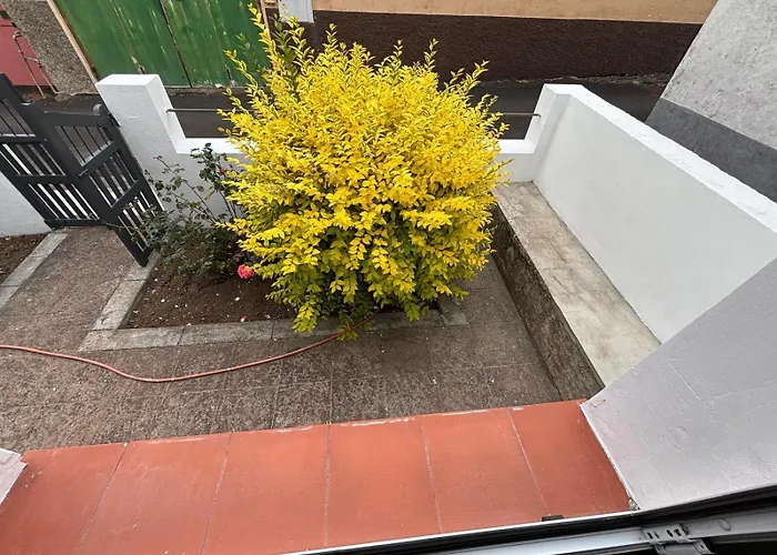 Rosas De Clara * Тегесте